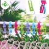 10 Pcs/set Home Clothes Hanger Organizer Hook Anti-Slip Fixed Buckle Outdoor Windproof Hanger Storage Rack Holder Clothes Buckle