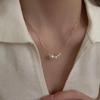 2025 Women's Chic Light Luxury Collarbone Chain: Elegant Ins Style Choker