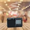 XHDATA Compact Portable High FM Shortwave MP3 TF Card DSP Emergency Battery Japanese Instruction Manual Great Gift for the Elderly D-328 Radio,