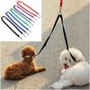 Nylon Couple Double Pet Dog Collar Lead Leash Dog Training Walking Dog Harness Strap