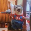Смешная одежда для кошек, костюмы для косплея на Хэллоуин для маленьких и средних собак, кошек, креативные комбинезоны для вечеринок с домашними животными, мягкие теплые кошачьи пальто