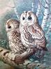 DIY алмазная живопись полный круг алмаз 5D Сова Пейзаж Алмазная вышивка горный хрусталь вышивка крестиком украшение дома подарок
