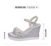 Fashion Wedge Heel Women Sandals 2025 New Summer High Heel Platform Word with Rhinestone Roman Shoes