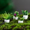Miniature Plant Models of Simulated Potted Plants Finished Round Art Landscape Micro-landscape Ornaments