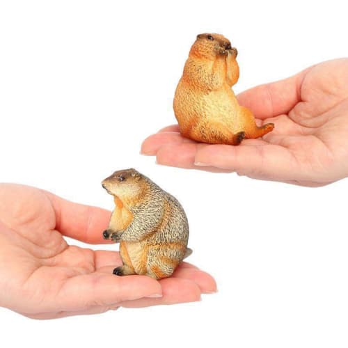 Oshhni 4-Piece Marmot Groundhog Figures, Realistic Animal Figures, Groundhog Model Toys, Birthday Gifts, Ornaments, Educational Toys for Kids, Hallowe