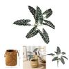 Искусственное растение Алоказия душистая (Alocasia Odora) с листьями в плетеной корзине для гостиной или офиса