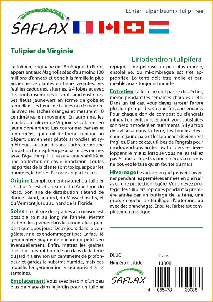 SAFLAX Тюльпановое дерево - 20 семян - Liriodendron tulipifera