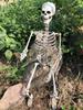 Halloween Simulation Skull Ornament Movable/Posable Joints Body Anatomy Model Festival Theme for Yard Garden Patio Haunted House