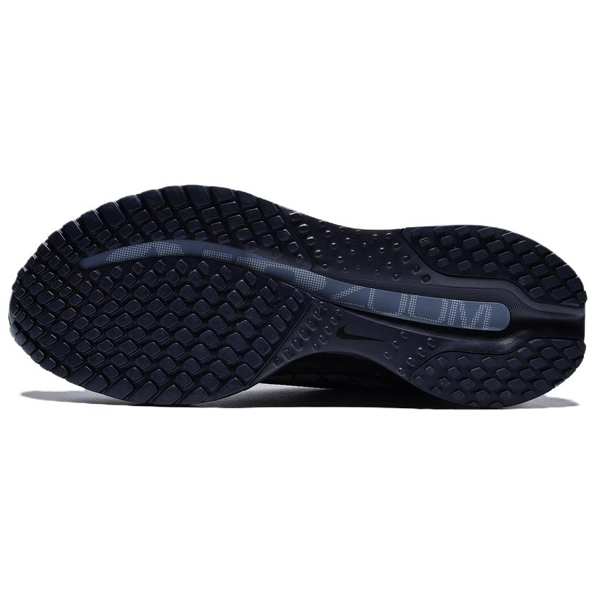 Nike Мужские низкие тренировочные беговые кроссовки Pegasus Premium Черный HQ2592-405