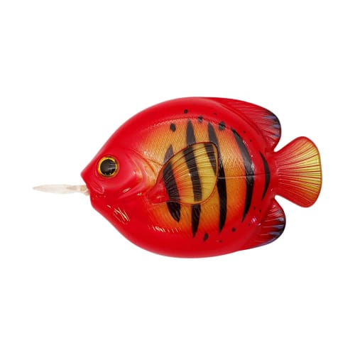 Caps FISH MEASURE FLAME ANGELFISH