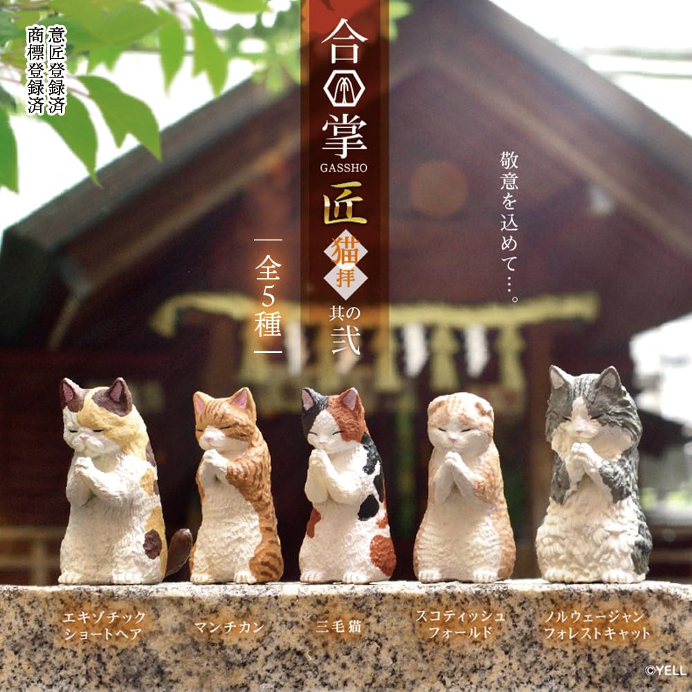 [Набор из 5 шт.] Гача Гачапон Полный набор Фигурка Игрушка Содержание Животное Кошка Милый [Гассё Такуми ~Поклонение кошкам~ Часть 2] Экзотический Манчкин Калико Шотландский