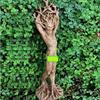 Creative Resin Forest Goddess Tree Statue for Home and Garden Decor