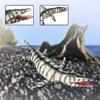 Realistic Large Kronosaurus Model Lifelike Dinosaur Model Figure Playset Model