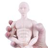 1/6inch Male Doll Blank Body Nude Mannequin Doll For Craft Customization And Replacement Model for Ball Joint Doll