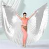 Костюм для танца живота с выдвижной палкой, женское раздвоенное египетское профессиональное крыло, 360 градусов, взрослое сценическое выступление, крыло ангела-бабочки