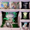 DDrstone Anime Cushion Cover Plush Fabric Soft DoubleSided Printed Sofa Warm Winter Home Gift Pillow Cover
