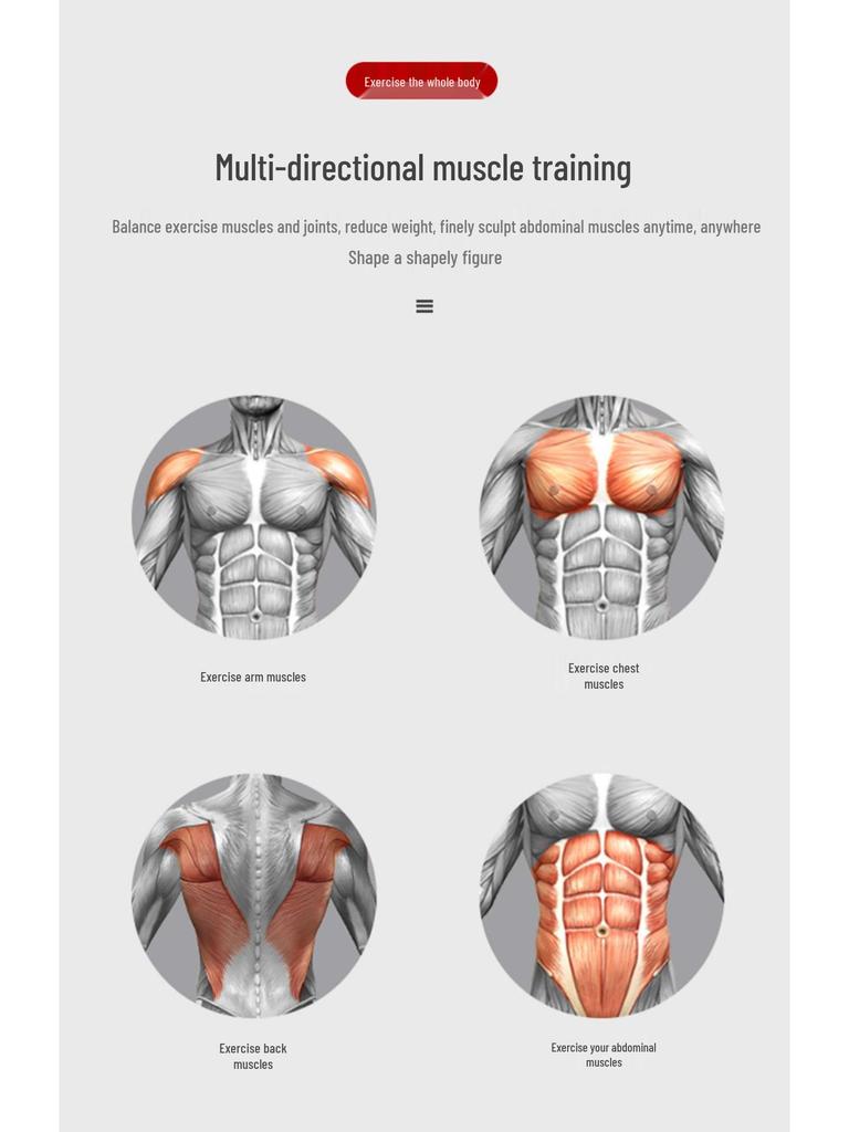 Silent Auto-Rebound Ab Wheel: Beginner Home Ab Muscle Trainer