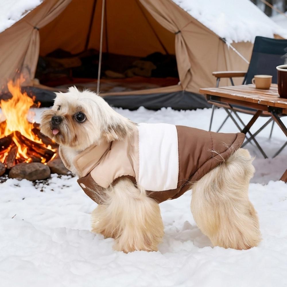 Winter Dog Clothes Warm Padded Dog Jacket Thick Puppy Coat Color Block Small Dog Vest Outdoor Walking Apparel for Chihuahua Pug