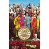 Sgt Pepper Textile Poster