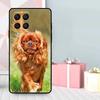 Cavalier King Charles Spaniel Dog Case For Samsung Galaxy M35 M56 M12 M06 M32 M52 M55 M15 M11 M13 M14 M16 M36 M31 M53 M34 M54