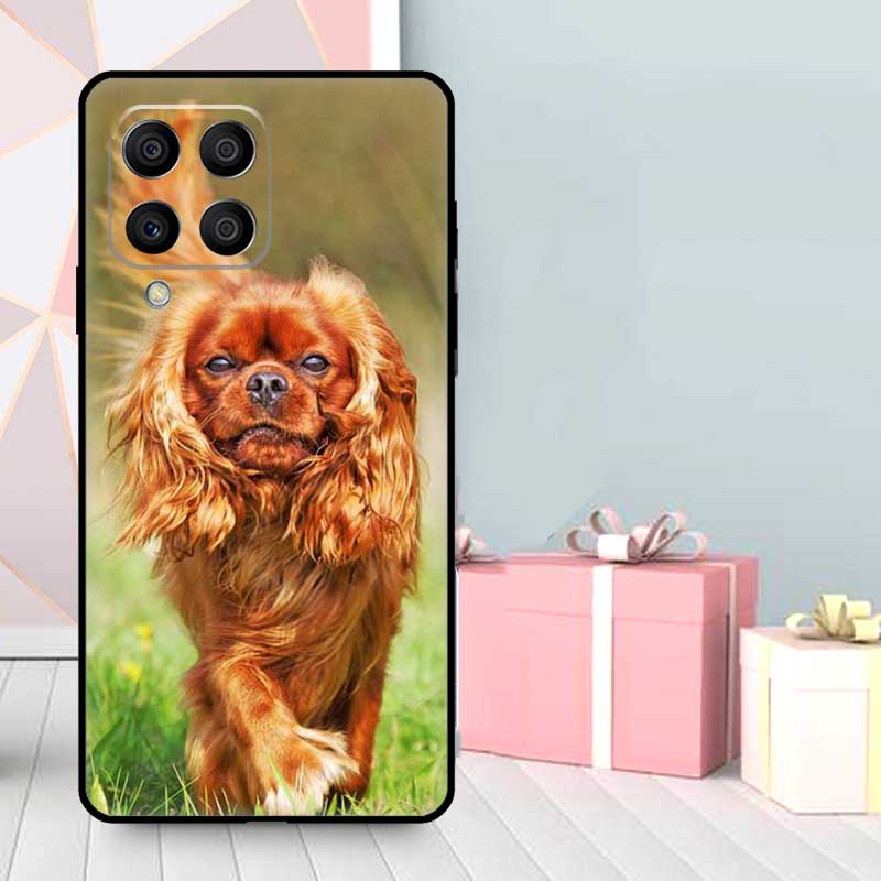Cavalier King Charles Spaniel Dog Case For Samsung Galaxy M35 M56 M12 M06 M32 M52 M55 M15 M11 M13 M14 M16 M36 M31 M53 M34 M54