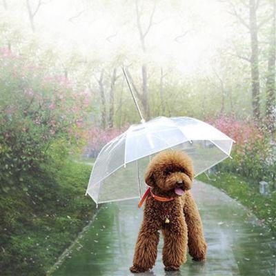 Pet Зонт Teddy Puppy Umbrella Собака Снег Дождь