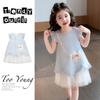 Girls' Mesh Dress 2026 Summer New Children's Dress, Thin Korean Version Princess Dress for Baby Girls, Summer Outfit