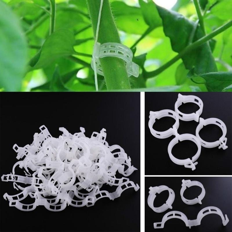 100Pcs Plastic Vine Fixing Clip, Pumpkin Vine Tying Clip, Agricultural Hanging Vine Supporting Vine Tying Branch Plant Fixing Clip