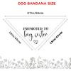 Promoted to Big Sister Dog Bandana Pregnancy Announcement Dog Baby Announcement Gender Reveal Photo Puppy Big Sister Bandana for Small Medium Cat