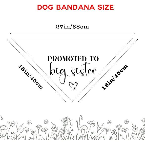 Promoted to Big Sister Dog Bandana Pregnancy Announcement Dog Baby Announcement Gender Reveal Photo Puppy Big Sister Bandana for Small Medium Cat