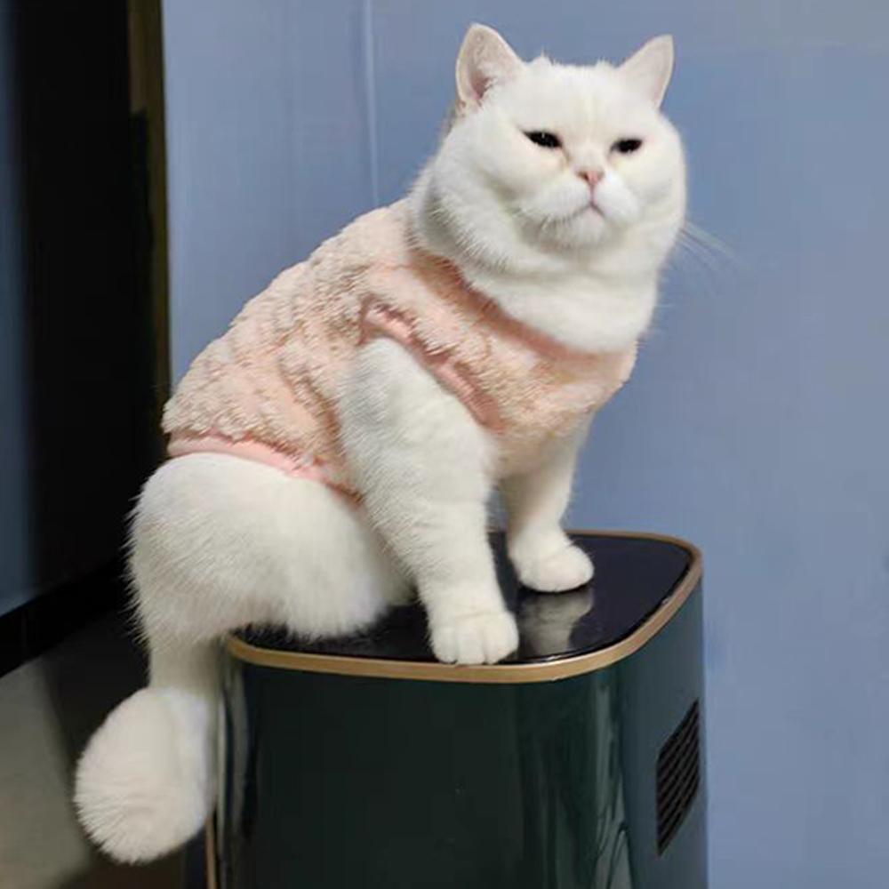 Dog Comfortable Fleece Pullover Pet Clothes Cute Wavy Double-sided Kitten Coats Sweater for Small Medium Dogs Cats Warm Winter Outfit Puppy