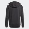 adidas Детские толстовки с капюшоном Умеренные GN4027