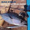 DAIWA Saltiga TB Jig Tonjigi Custom 400g Keimura Glow Castanet