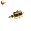 0280160256 Fuel Injection Pressure Regulator  for Porsche LANCIA New High Quality Cars Accessories