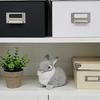Реалистичная фигурка кролика Живые пасхальные кролики Мягкие фермерские животные Статуя кролика Пружинные украшения для дома Фотоаксессуары