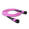 12-Core MPO-MPO OM4 Multimode Fiber Optic Patch Cord