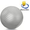 Fitness Ball Yoga Ball Various Sizes Suitable for Exercise Pregnancy Stability Explosion-proof Balance Ball with Fast Pump