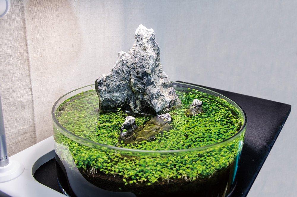 GENTOS Настольная лампа для выращивания растений 800 люмен IK-S72GWH