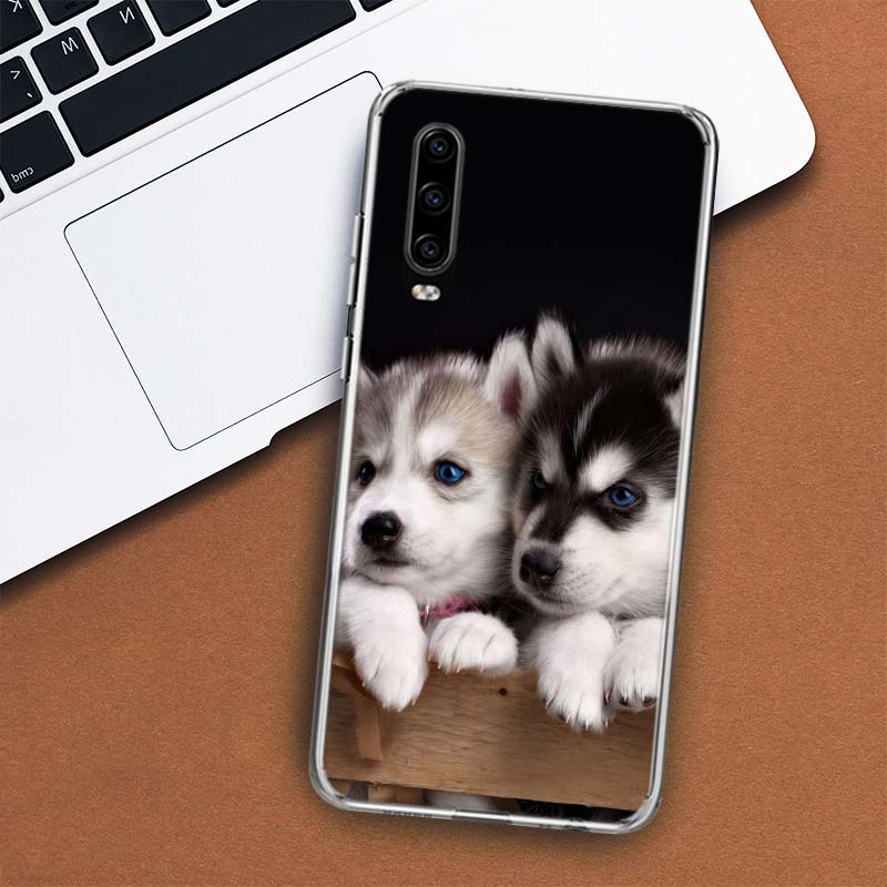 Чехол для телефона с изображением собаки сибирского хаски для Huawei P30 P20 P10 P40 P50 Pro Mate 20 40 30 10 Lite, популярный чехол Fundas Art Gift Coque
