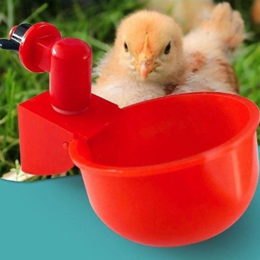 6-48pcs Chicken Duck Drinking Cup Automatic Drinker Chicken Feeder Drinking Fountain Practical Convenient Tools Feeding Supplies