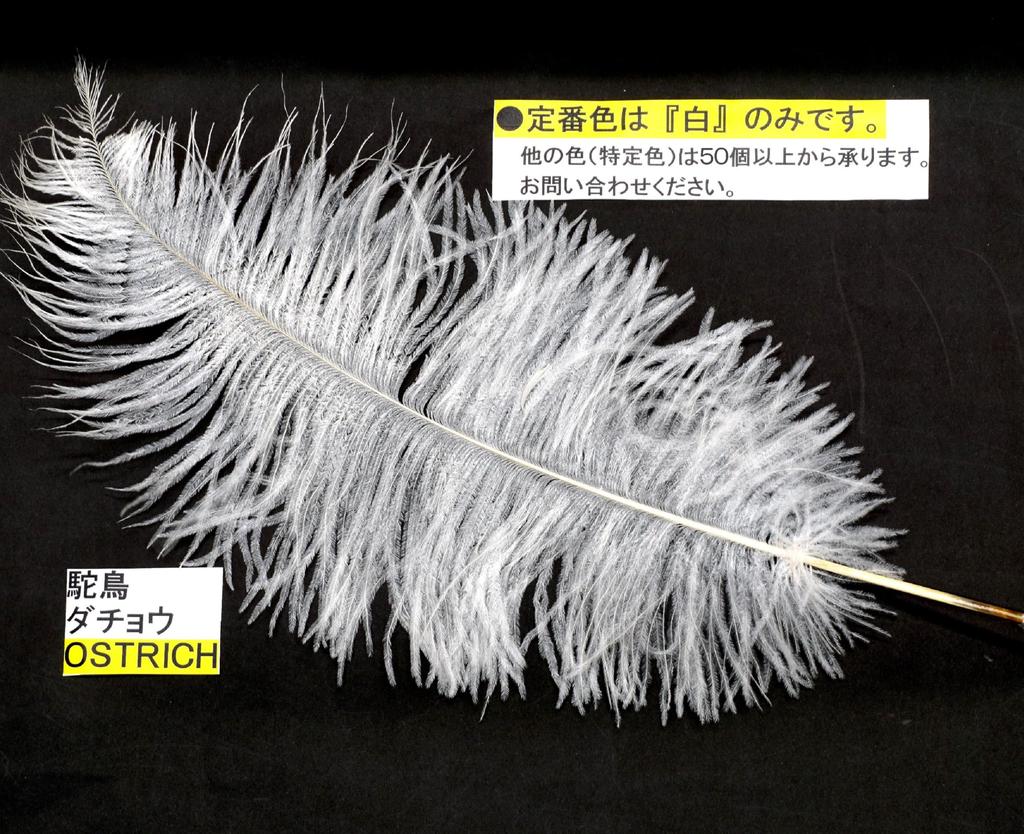 Набор из 2 штук латунных роторных ручек банкира с большим пером страуса, прозрачная акриловая подставка для ручек с черной ручкой и белым пером, японская обработка + держатель,