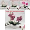 Phalaenopsis Artificial Flower Plant Pot For Wedding Decor And Photography Indoor Outdoor Display
