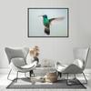 Picture poster In a frame 53x73 cm Hummingbird P1064
