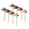 Colorful Garden Mushrooms, Fairy Mushroom Toadstool Ceramic 8pcs Pots Decoration