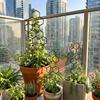 Honeycomb Trellis 2/4Pc Sturdy Plastic Support for Indoor Potted Climbing Plants