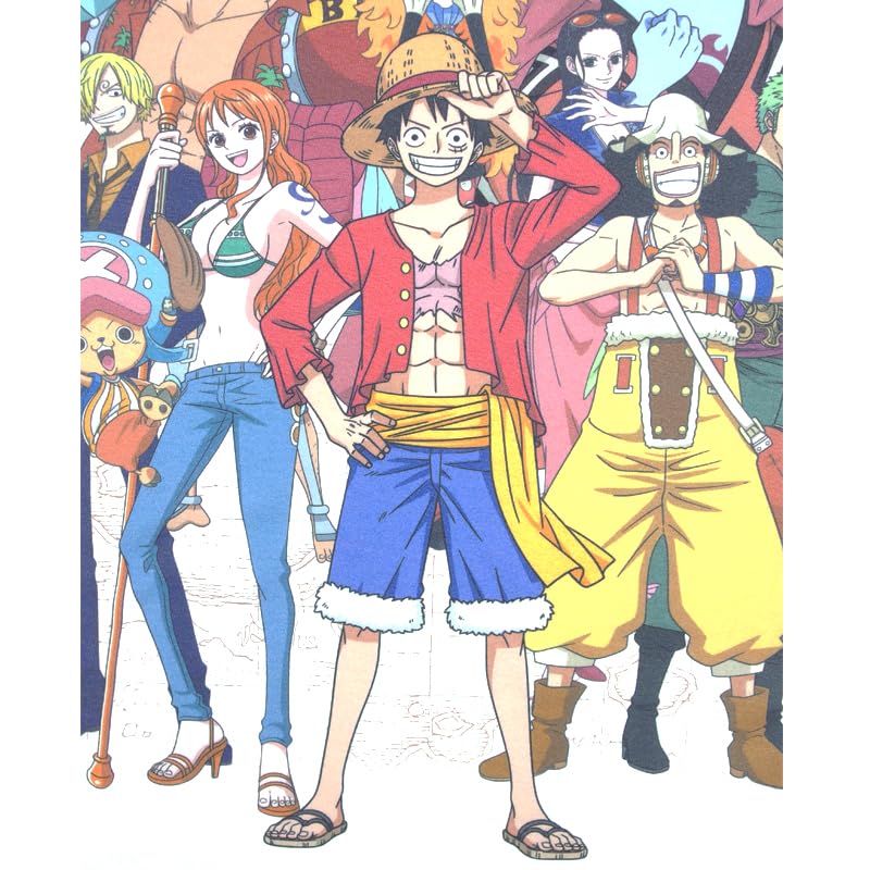 EVERSOUL ONE PIECE Футболка с коротким рукавом и соломенной шляпой, персонаж, аниме-фильм, размер XL, Пираты, Луффи, Чоппер, Зоро, Нами, Санджи, Мерч, Футболка, Мужская,