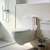 Anti-Slip Toilet Tank Cleaning Tablet Holder Plastic Bleach Tablet Bracket  Bathroom