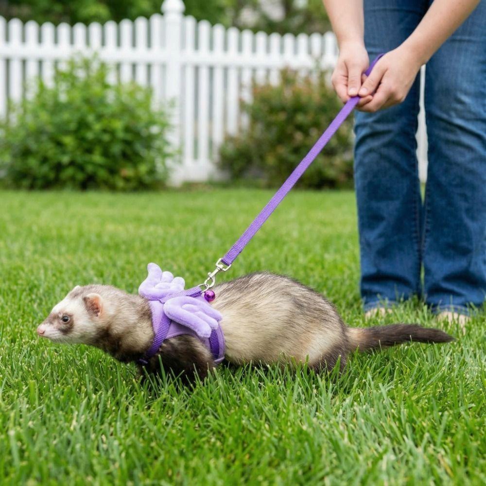 Adjustable Ferret Traction Harness Cartoon Pet Traction Rope Guinea Pig Chest Strap Pet Supplies