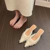 Fashion Summer Pointed Toe High Heels Women Slippers Fashion Shallow Slip On Party Pumps Mules Slide Shoes 2025