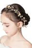 Hair Hair Weddings Handmade Headdress by Can Be Used by Children and Adults Accessories, Ornaments, Boxed, Recitals, [ARCADY] Craftsmen, (Little